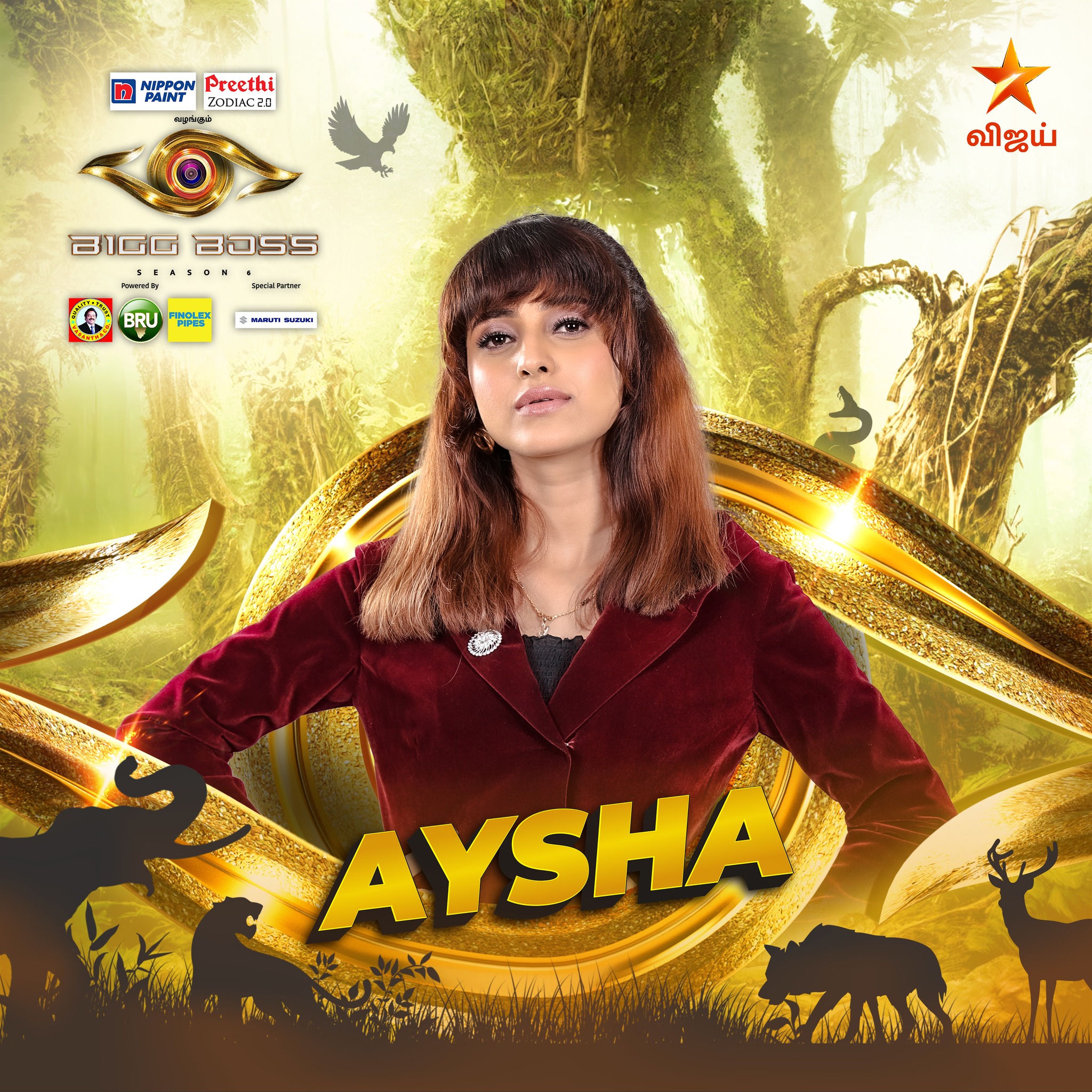 Aysha Bigg Boss Contestant tamil 6